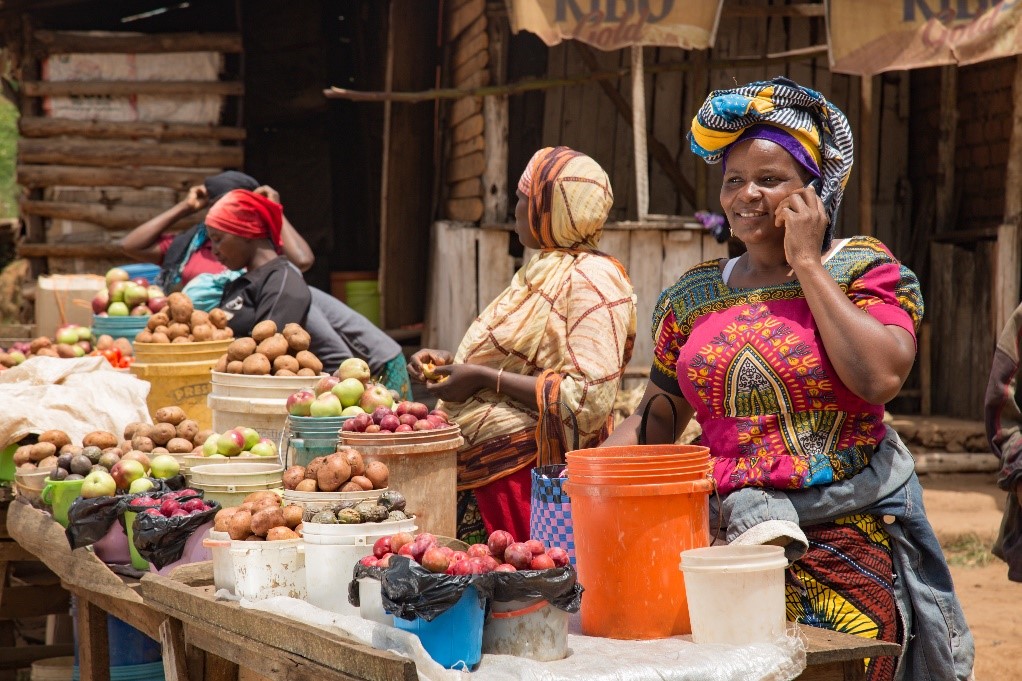 How Computer Centers and Tech Hubs Are Transforming Africa’s Economic&nbsp;Landscape